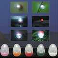 Egg Camp Light (Energy Saving)